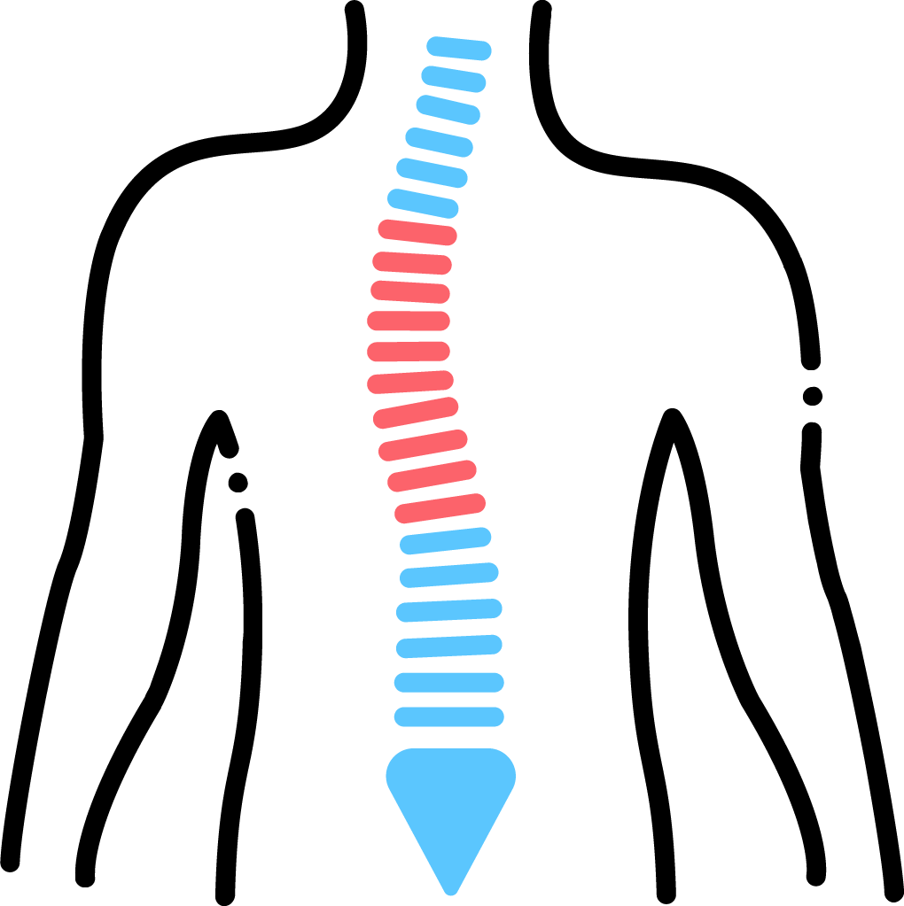 Spine illustration