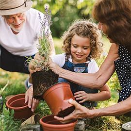A retired couple planting with their granddaughter